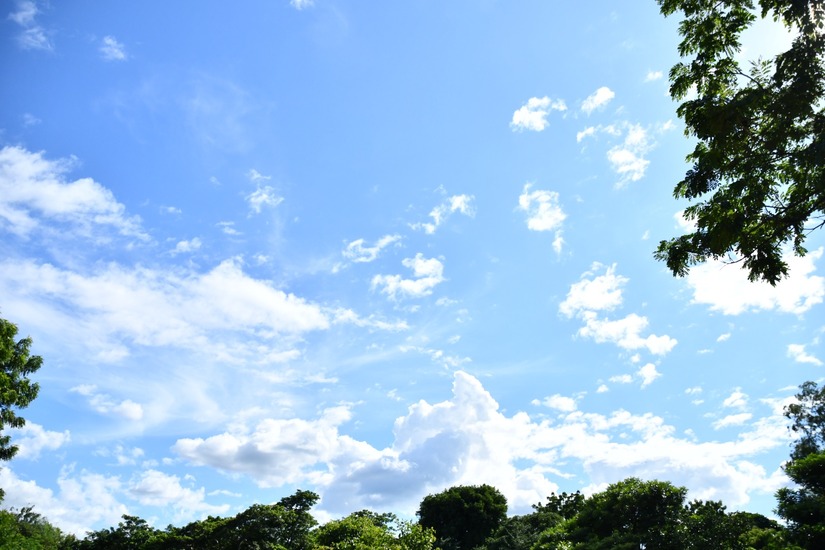 ozono-4
