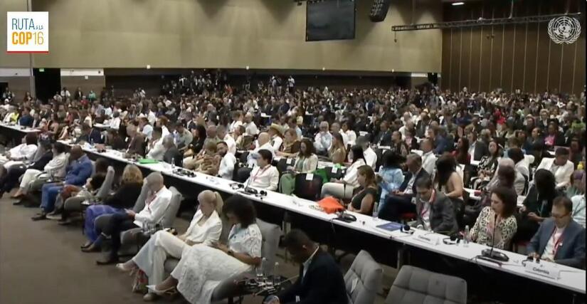 CONVENCION1