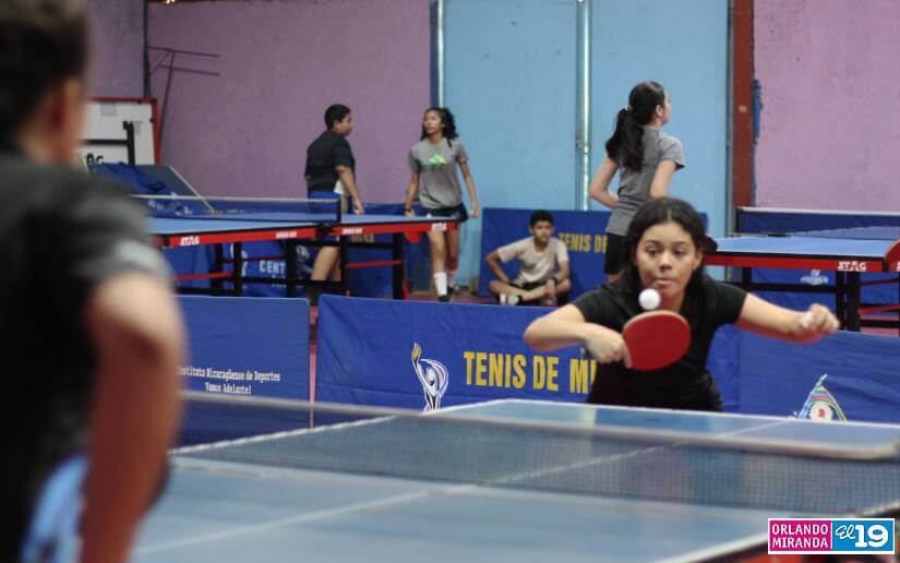 TENIS-(2)