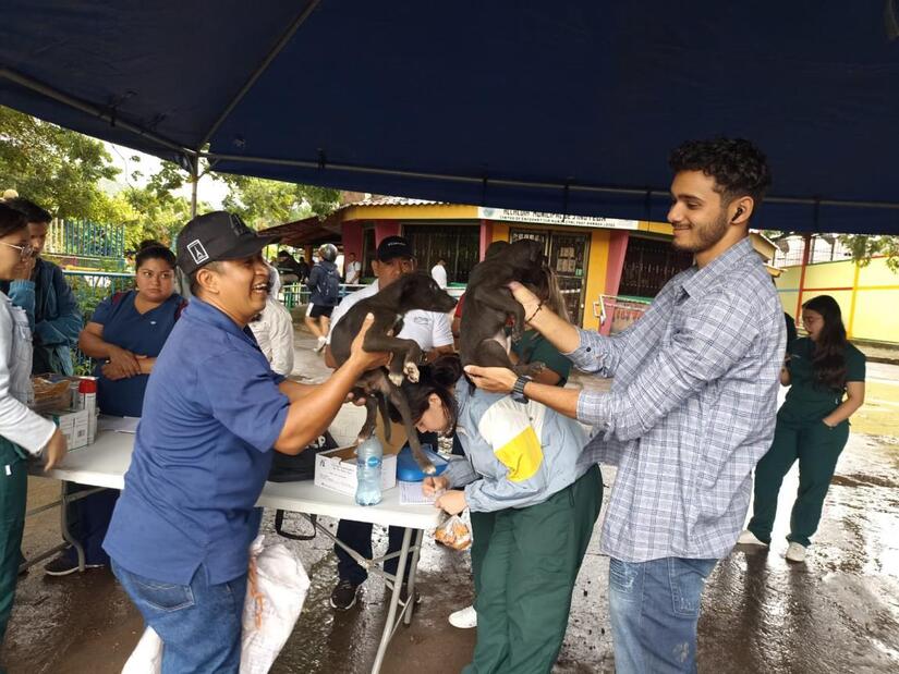 CAMBIO-(9)