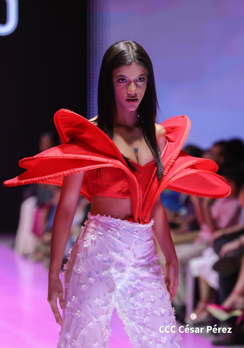 MODA-(11)