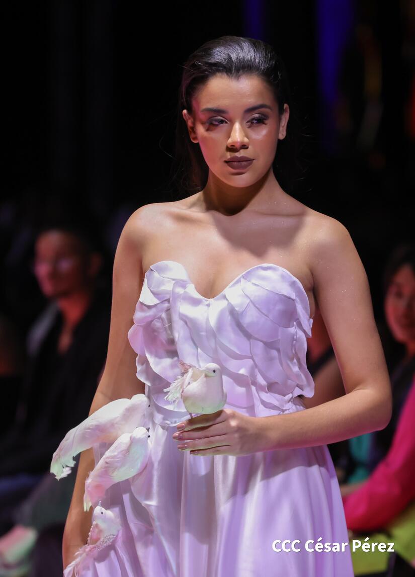 MODA-(13)