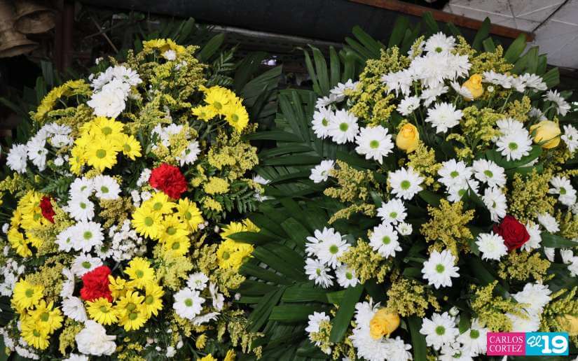 VentaFlores--3