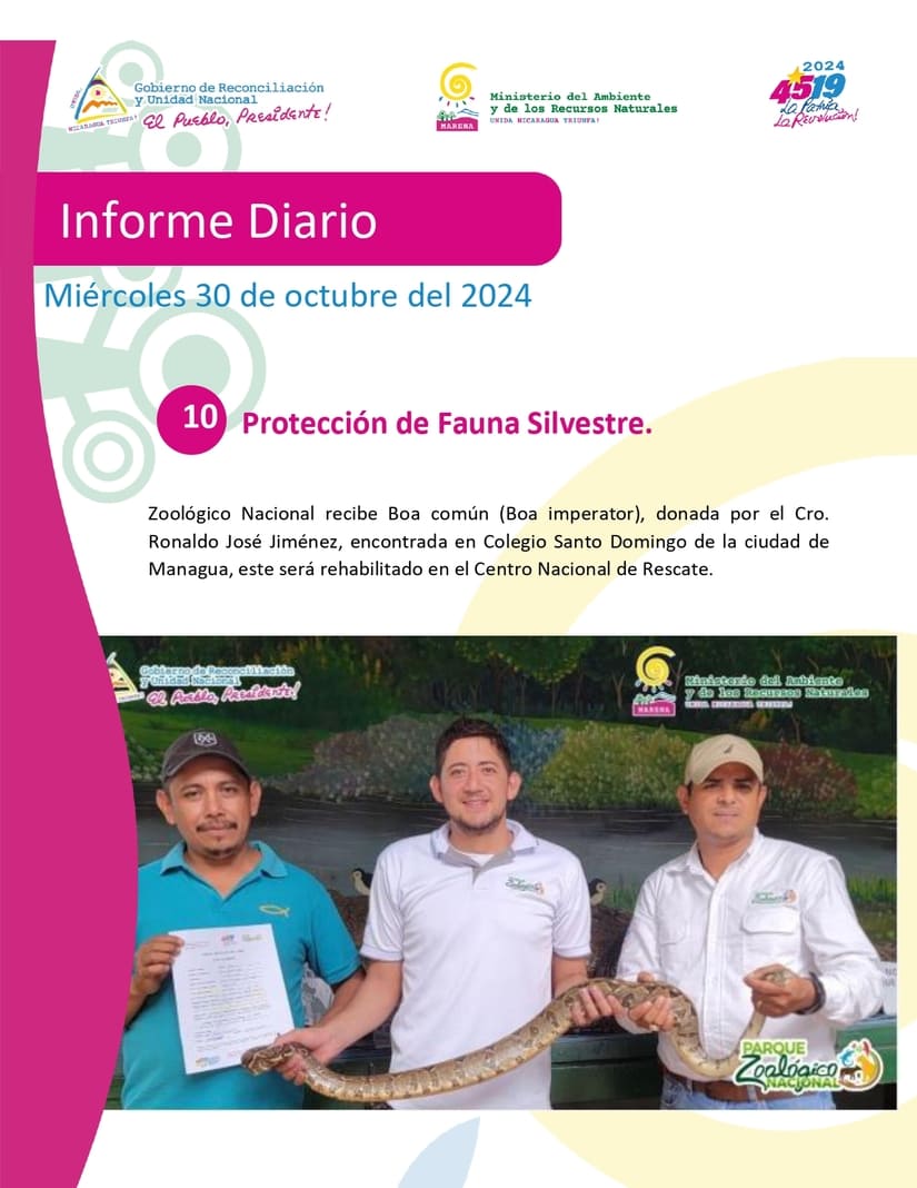 MARENA-(10)