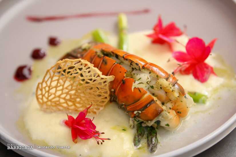 COCINA-19