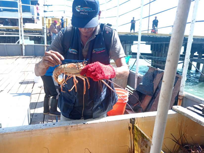 INPESCA5