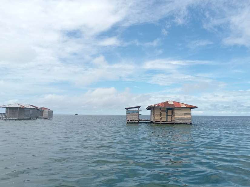 INPESCA7