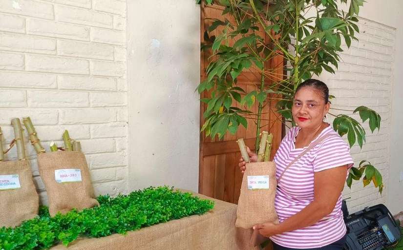 YUCA10