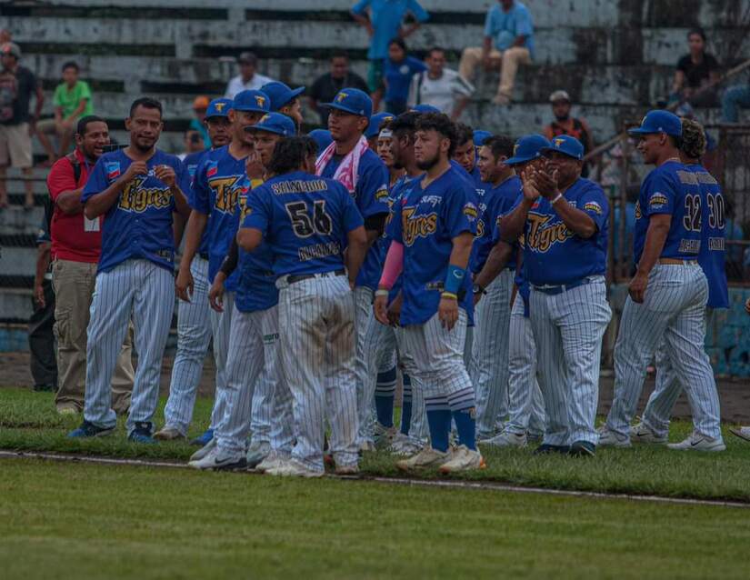 TIGRES