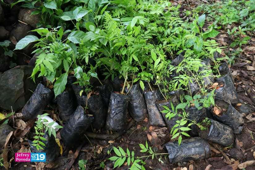 OMETEPE4