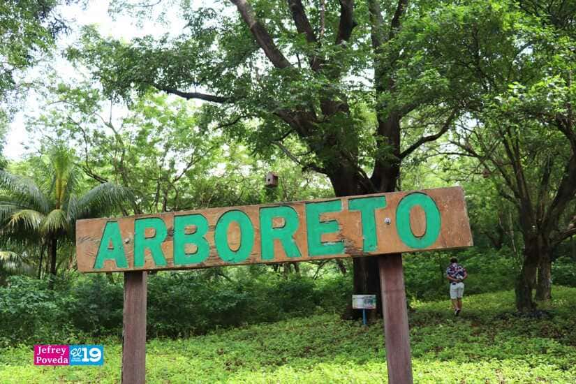 OMETEPE8