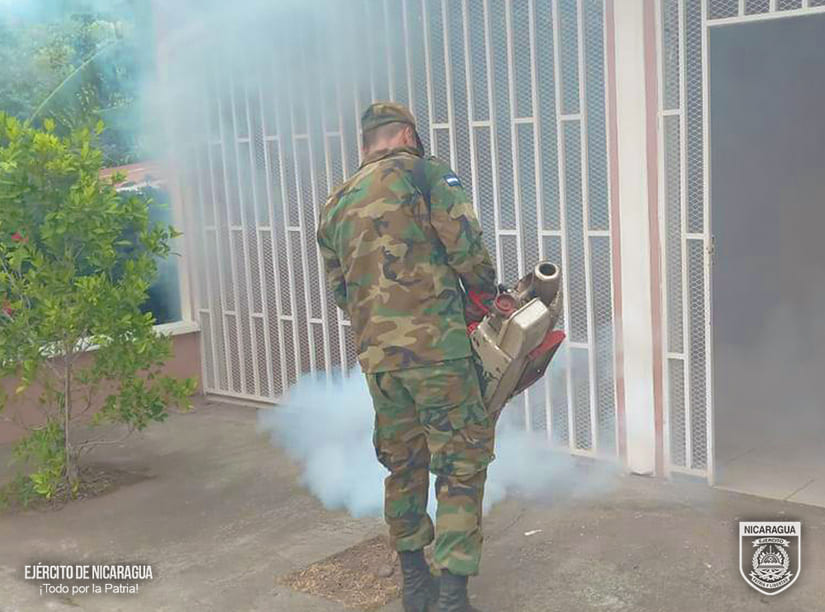 FUMIGACION2