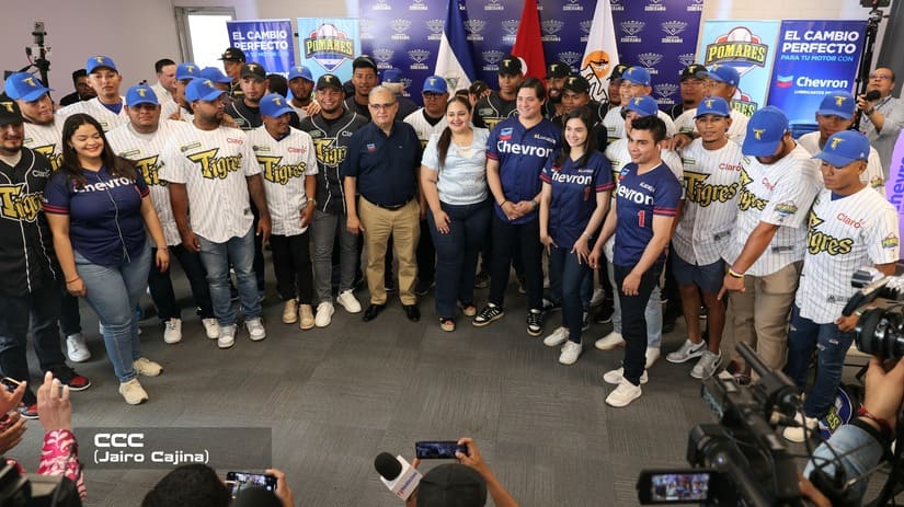 TIGRES24