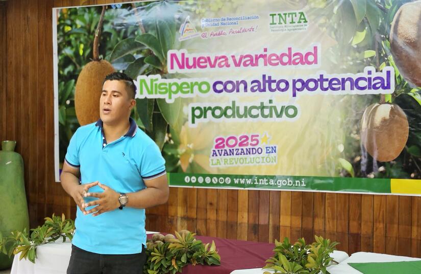 NISPERO03