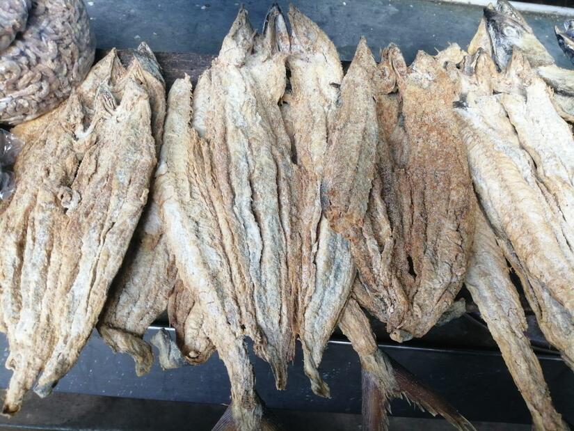INPESCA13