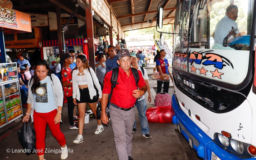 Mercado-Mayoreo-11