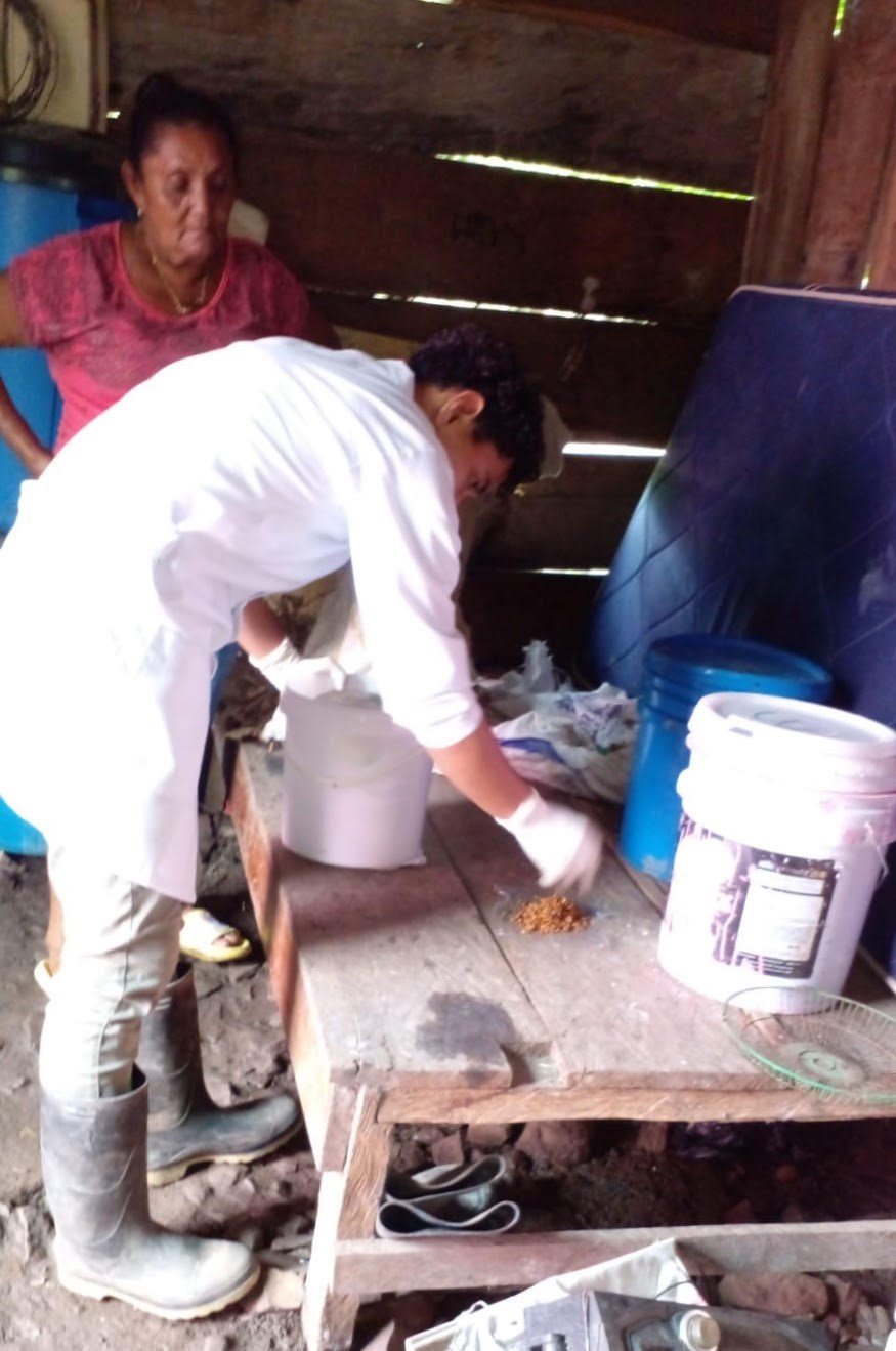 desratizacion5