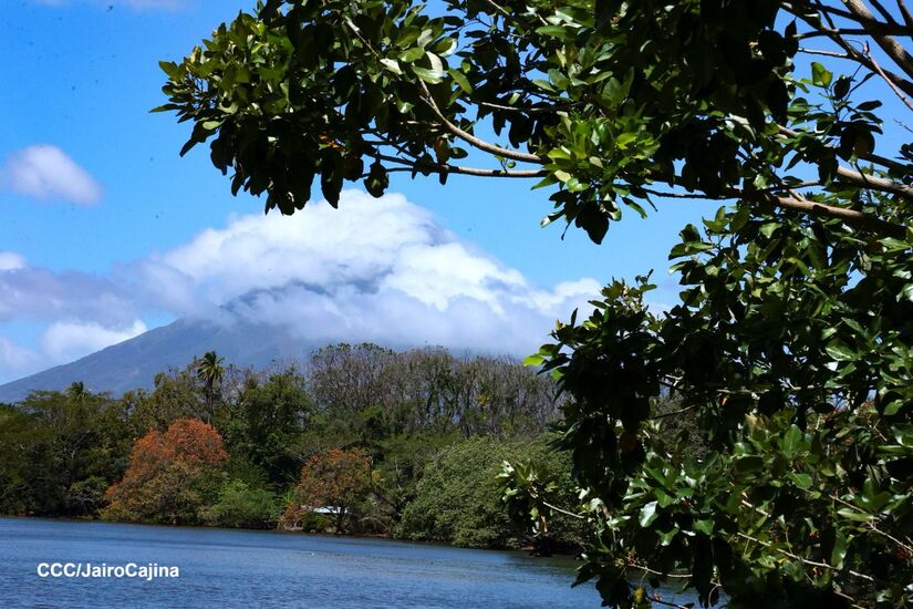 OMETEPE-(6)