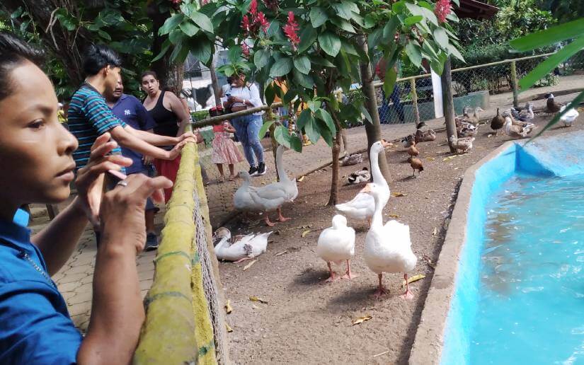 zoo-parquesaurio-2