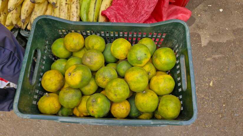 MERCADO-(16)