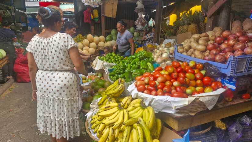 MERCADO-(27)