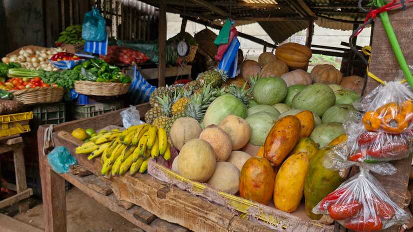 MERCADO-(9)