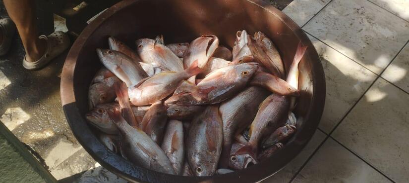 INPESCA5