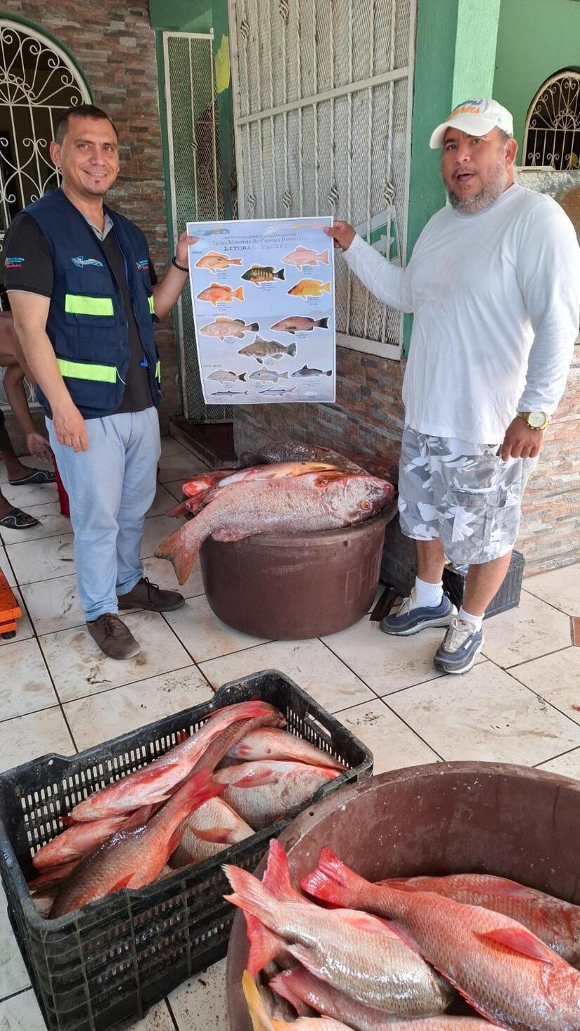 INPESCA7