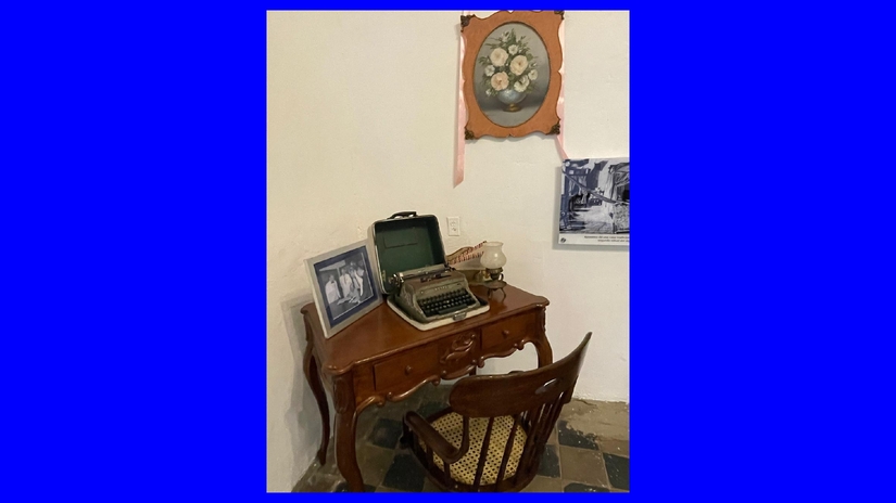 MUSEO11