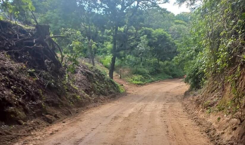 CAMINOS31