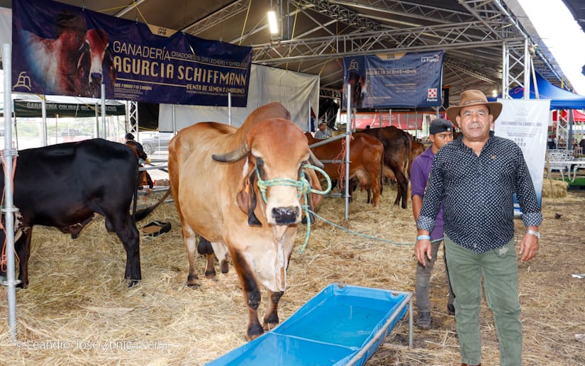 FERIA-(28)