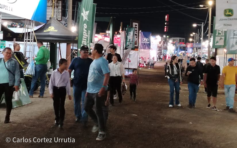 FERIA36