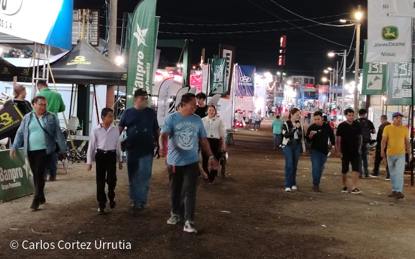 FERIA37