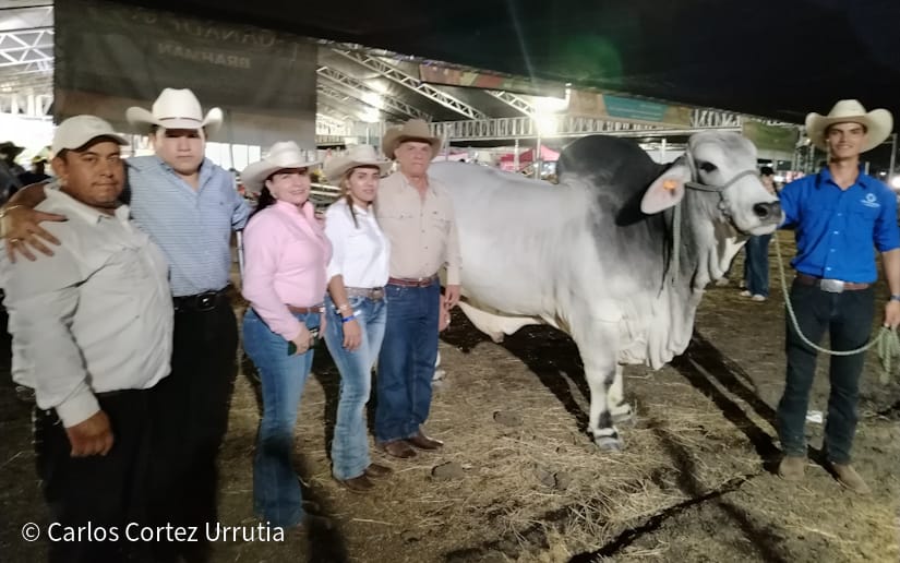 FERIA5