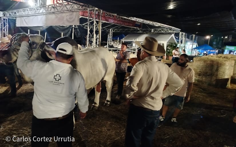 FERIA9