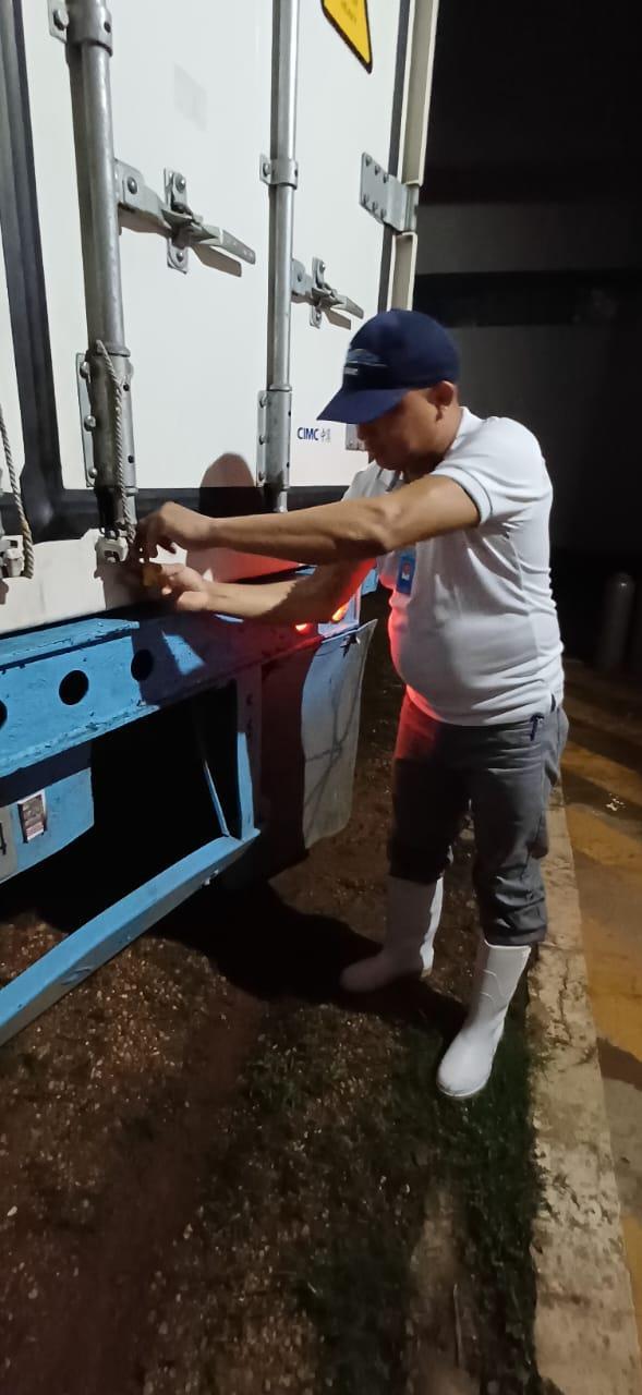 LANGOSTA11