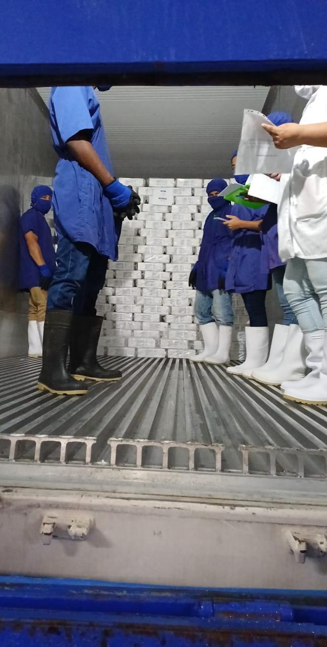 LANGOSTA8