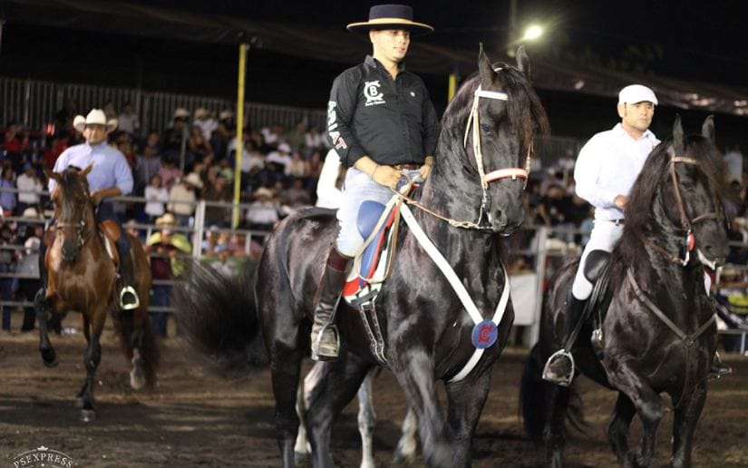 FERIA-(19)