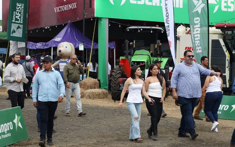 FERIA-(1)