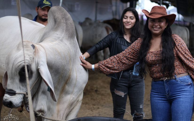 FERIA-(3)