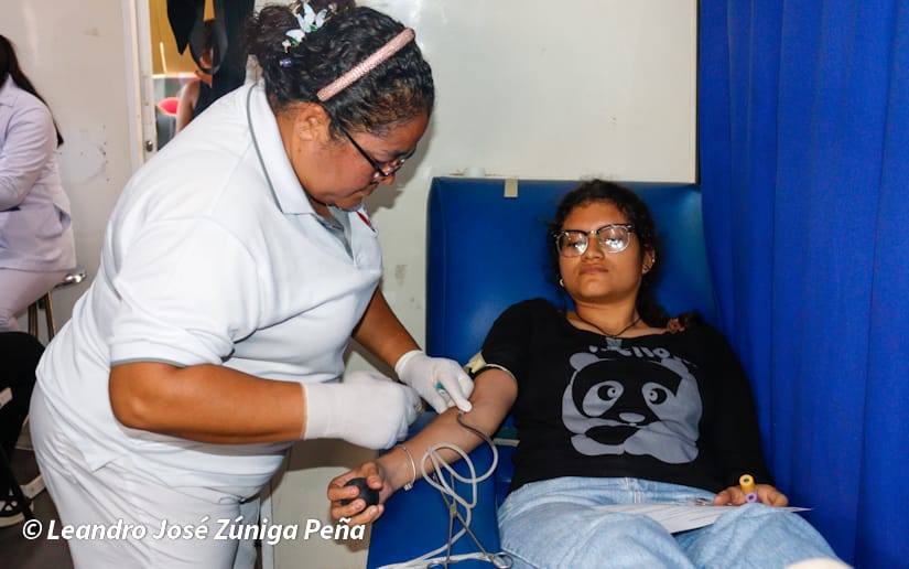 DONACION16