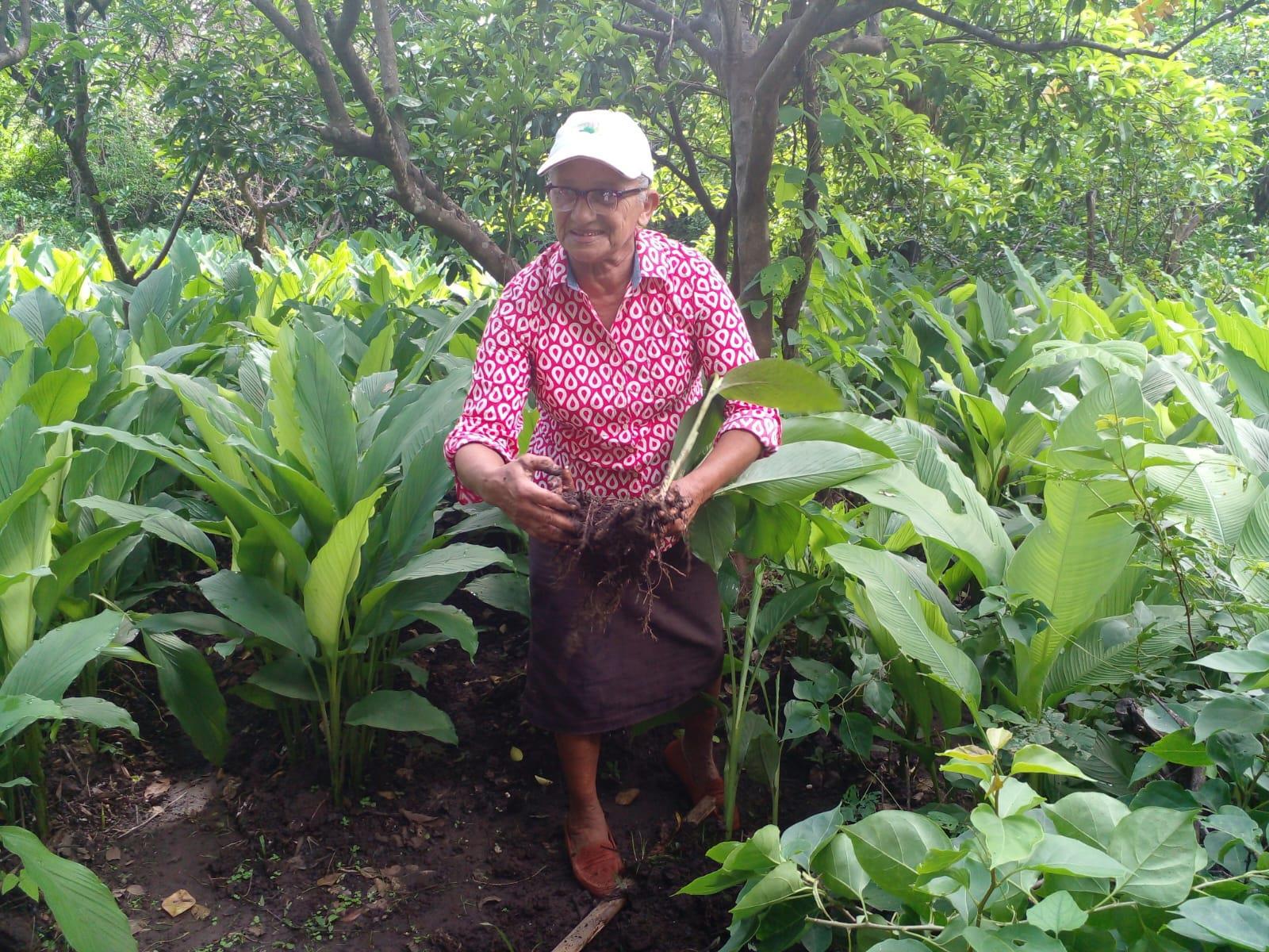 CURCUMA3