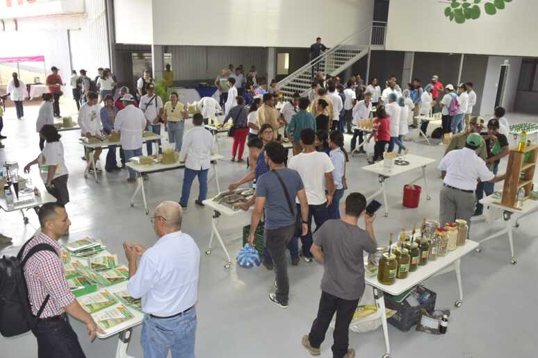 MORINGA10