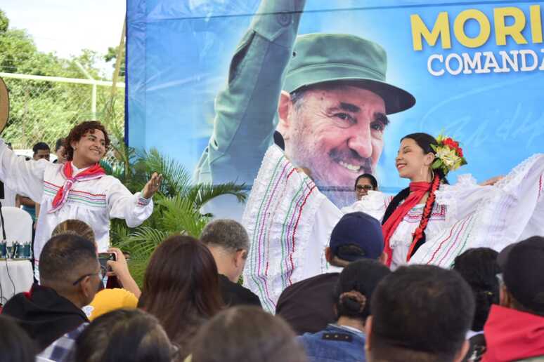 MORINGA14