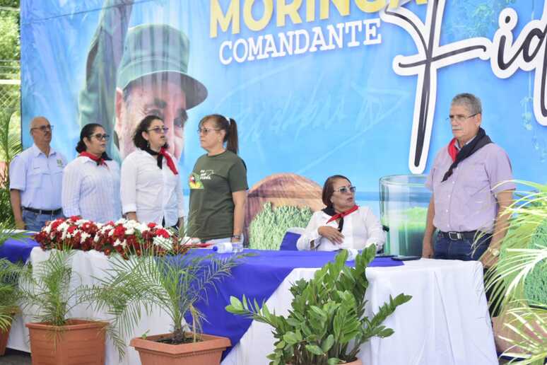 MORINGA18