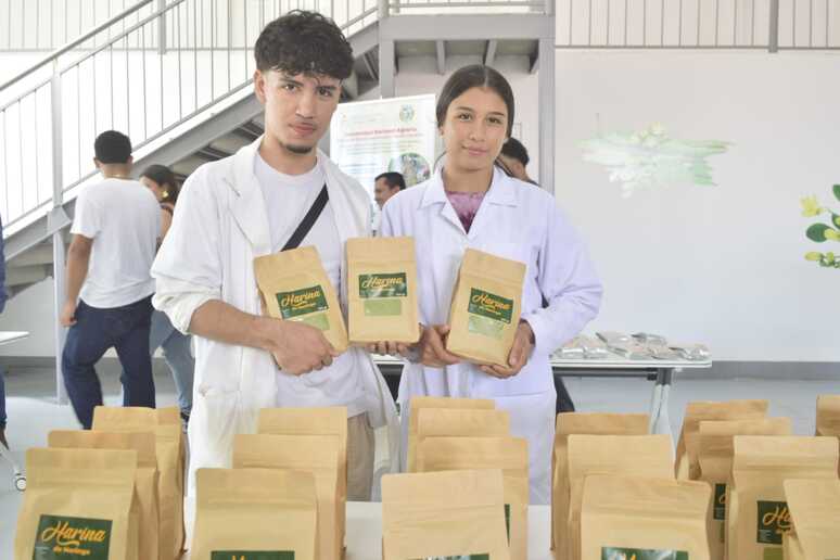 MORINGA22