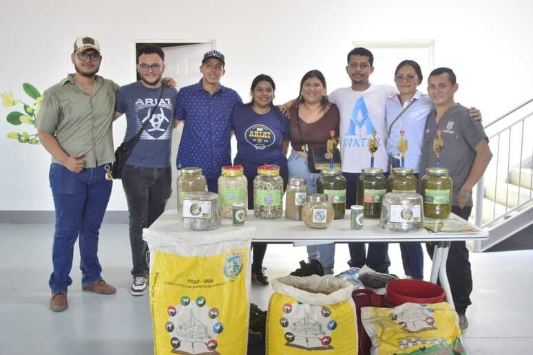 MORINGA23