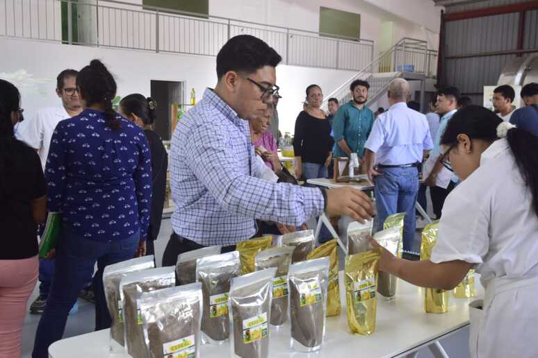 MORINGA29