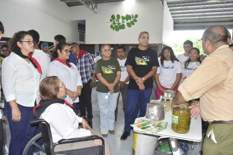 MORINGA8