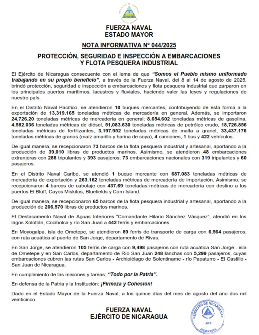 DRPE-NI-N&deg;-044-DNC-RESUMEN-NAVAL_001